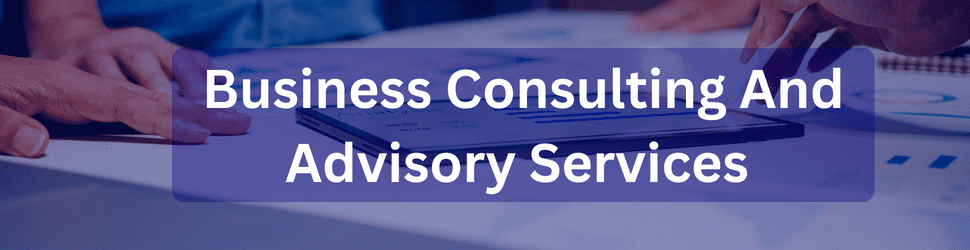 Business Advisory Services